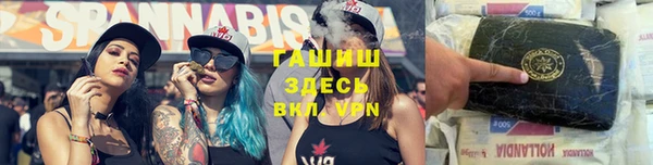 стаф Абинск
