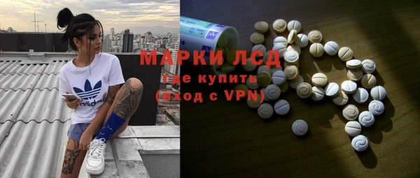 стаф Абинск