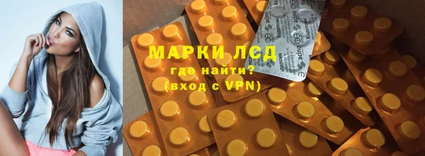 стаф Абинск